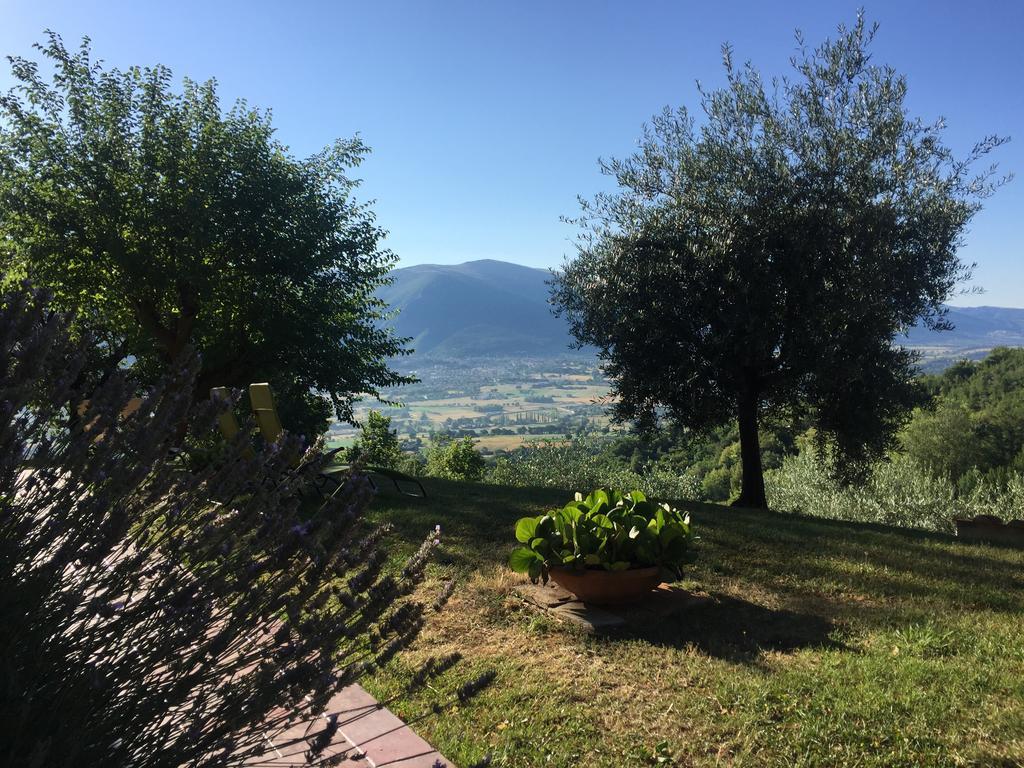 Casale Degli Ulivi Villa Gualdo Tadino Eksteriør bilde