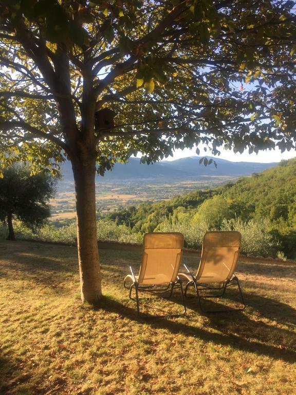 Casale Degli Ulivi Villa Gualdo Tadino Eksteriør bilde